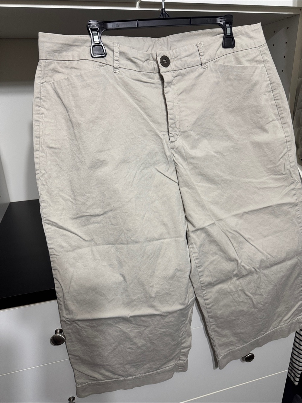 Kim Rogers Light Beige Flat-Front capris